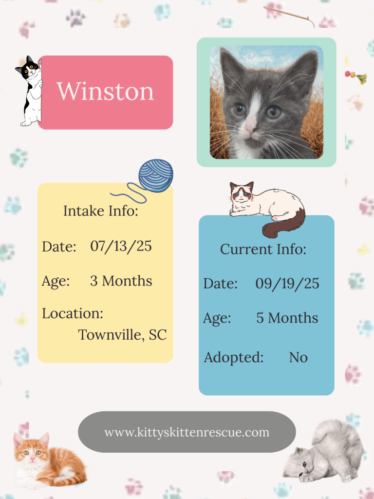 Adoption profiles (1)