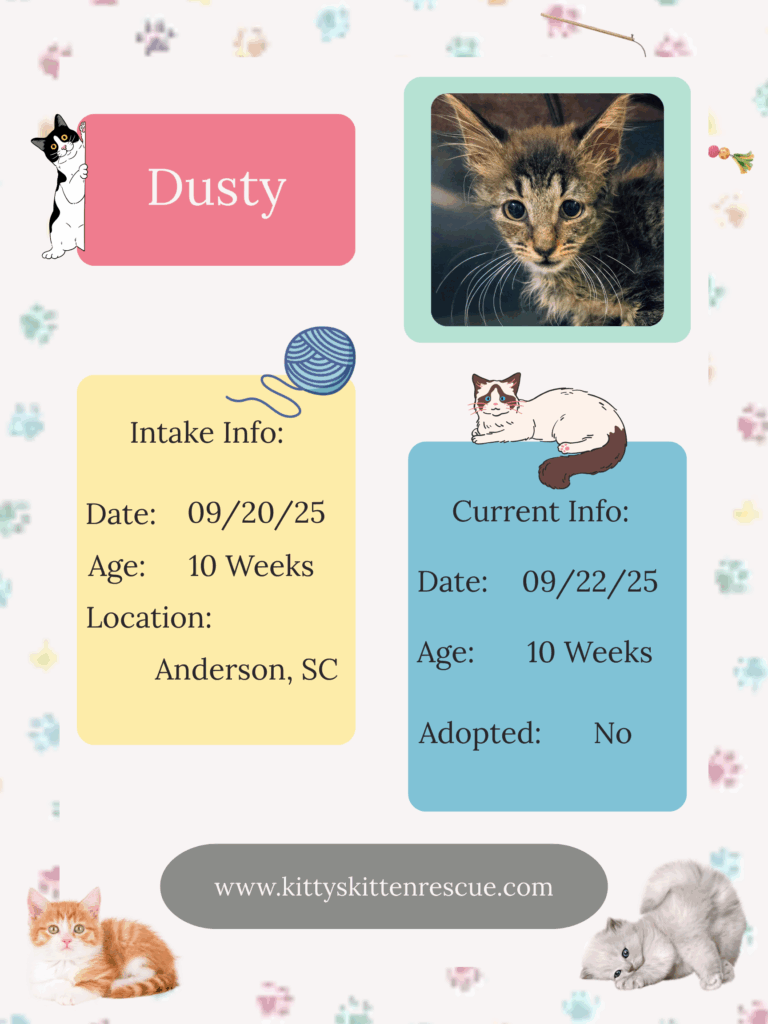 Adoption profiles