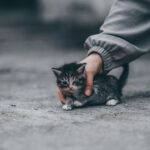Photo by kemran kurbanov