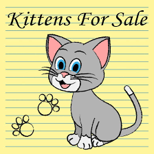 Advertise Kittens: Effortless Adoption Guide